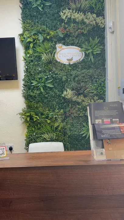 Ayur Wellness and Pain Centre - Head Spa