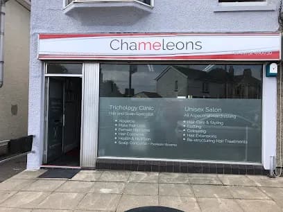 Chameleons Hair and Scalp - Head Spa