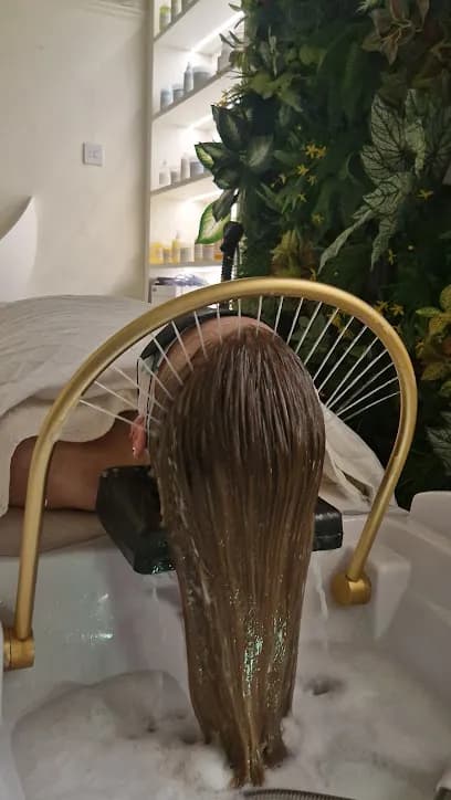 Hairmonic Head Spa - Head Spa
