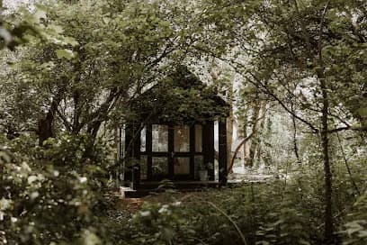 Orchard Roots Wellness - Head Spa