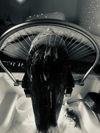 The Head Spa Room - Head Spa