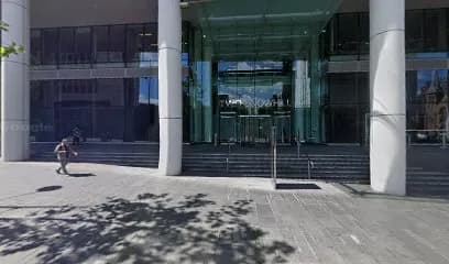 The Skin & Scalp Sanctuary - Head Spa