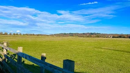 Utopia Beauty Salon Boars Hill - Head Spa